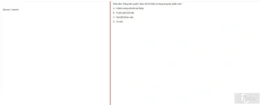 HCM202 SP25 FE_023.webp