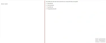 HCM202 SP25 FE_027.webp
