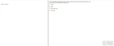 HCM202 SP25 FE_029.webp