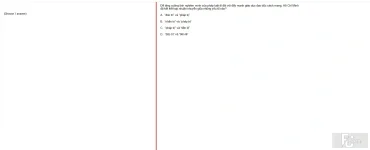 HCM202 SP25 FE_030.webp