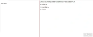 HCM202 SP25 FE_048.webp