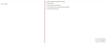 HCM202 SP25 FE_052.webp