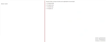 HCM202 FA24 FE RE_003.webp