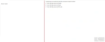 HCM202 FA24 FE RE_035.webp