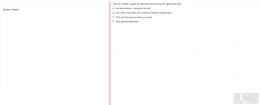 HCM202 FA24 FE RE_052.webp
