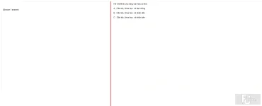 HCM202 FA24 FE_003.webp