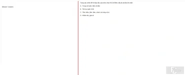 HCM202 FA24 FE_011.webp
