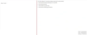 HCM202 FA24 FE_012.webp