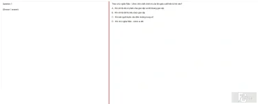 MLN131 FA25 FE RE_001.webp
