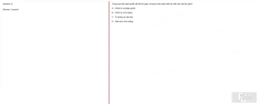 MLN131 FA25 FE RE_008.webp