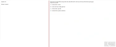 MLN131 FA25 FE RE_034.webp
