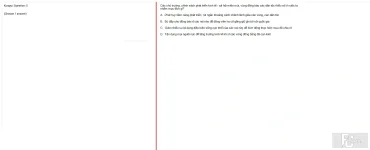 MLN131 SU25 B5 FE RE_005.webp