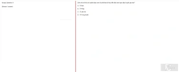 MLN131 SU25 B5 FE RE_009.webp