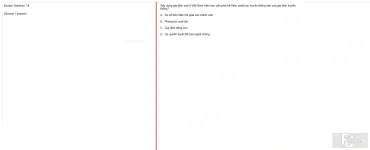 MLN131 SU25 B5 FE RE_018.webp