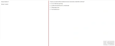MLN131 SU25 B5 FE_009.webp