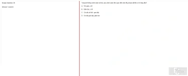 MLN131 SU25 B5 FE_036.webp