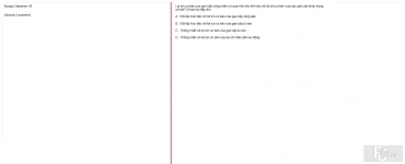 MLN131 SU25 B5 FE_043.webp