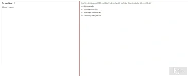 MLN131 SU25 FE_031.webp