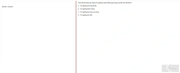 MLN131 SP25 FE_002.webp