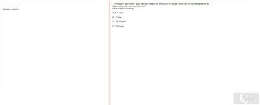 MLN131 SP25 FE_027.webp