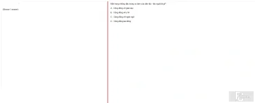 MLN131 FA24 B5 FE RE_007.webp