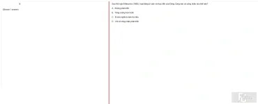 MLN131 FA24 B5 FE RE_025.webp