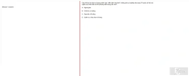 MLN131 FA24 B5 FE_006.webp