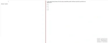 MLN131 FA24 B5 FE_017.webp
