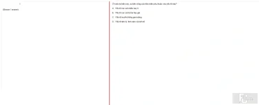MLN131 FA24 B5 FE_021.webp