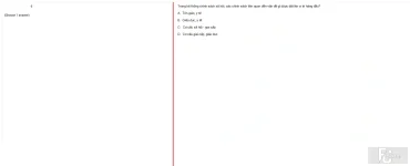 MLN131 FA24 B5 FE_036.webp