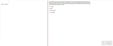 MLN131 FA24 B5 FE_044.webp