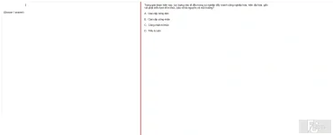 MLN131 FA24 B5 FE_052.webp