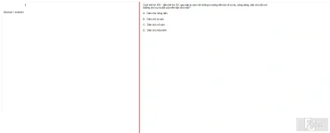 MLN131 FA24 FE RE_015.webp