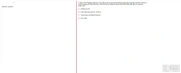 MLN131 FA24 FE RE_027.webp