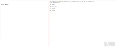 MLN131 FA24 FE RE_028.webp