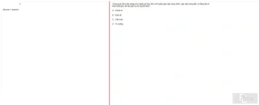 MLN131 FA24 FE RE_034.webp