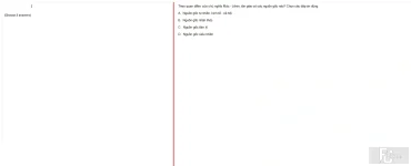 MLN131 FA24 FE RE_042.webp