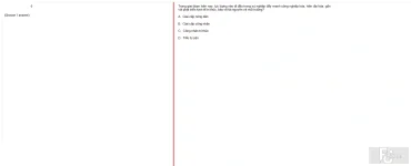MLN131 FA24 FE RE_050.webp