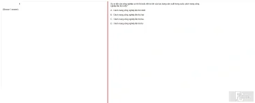 MLN131 FA24 FE RE_054.webp