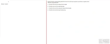 MLN131 FA24 FE RE_056.webp
