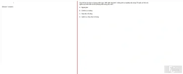 MLN131 FA24 FE_004.webp