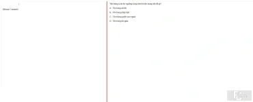 MLN131 FA24 FE_006.webp