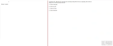 MLN131 FA24 FE_014.webp