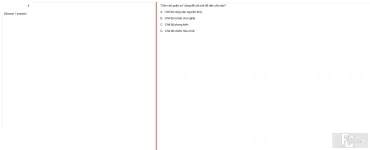 MLN131 FA24 FE_016.webp