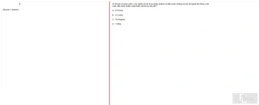 MLN131 FA24 FE_028.webp