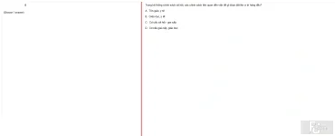 MLN131 FA24 FE_035.webp