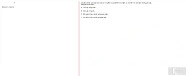 MLN131 FA24 FE_041.webp