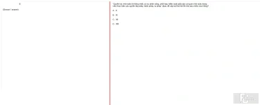 MLN131 FA24 FE_043.webp