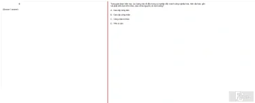 MLN131 FA24 FE_046.webp