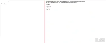MLN131 SU24 B5 FE_049.webp